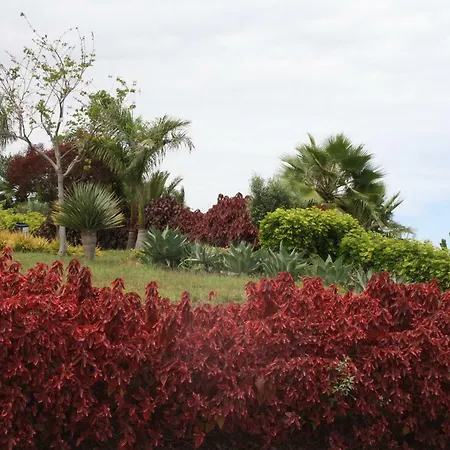 Sissi Boutique - The Terrace Between Ocean And Teide Apartment Santa Ursula (Tenerife)