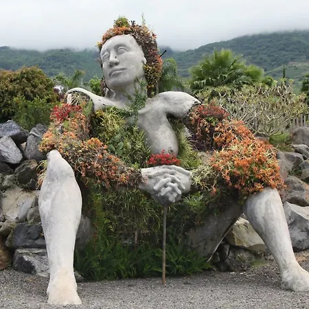 Sissi Boutique - The Terrace Between Ocean And Teide דירה