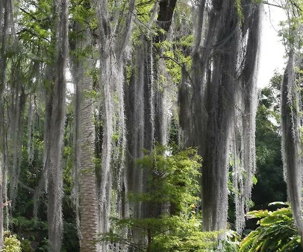 Sissi Boutique - The Terrace Between Ocean And Teide Appartement