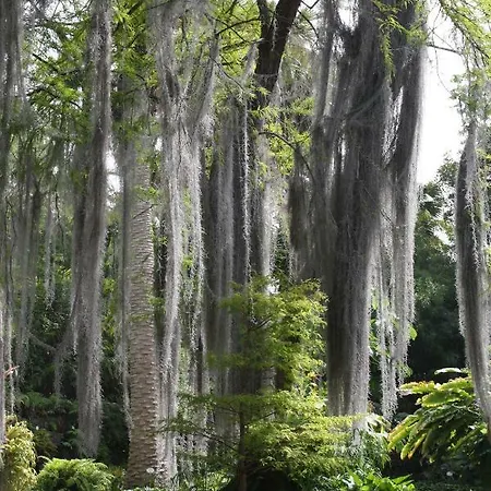 Sissi Boutique - The Terrace Between Ocean And Teide Appartement