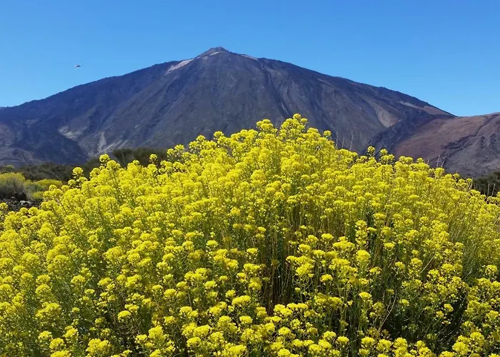 Sissi Boutique - The Terrace Between Ocean And Teide