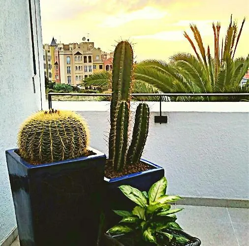 Sissi Boutique - The Terrace Between Ocean And Teide * Santa Úrsula