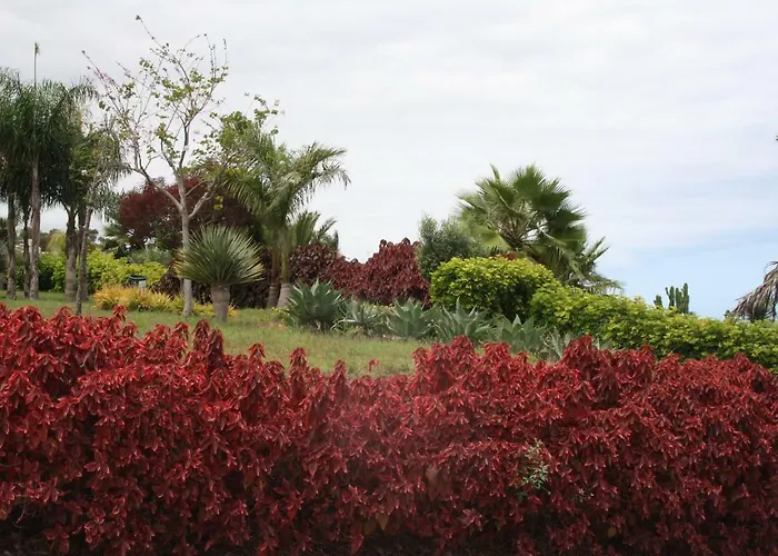 Sissi Boutique - The Terrace Between Ocean And Teide 公寓 圣乌尔苏拉